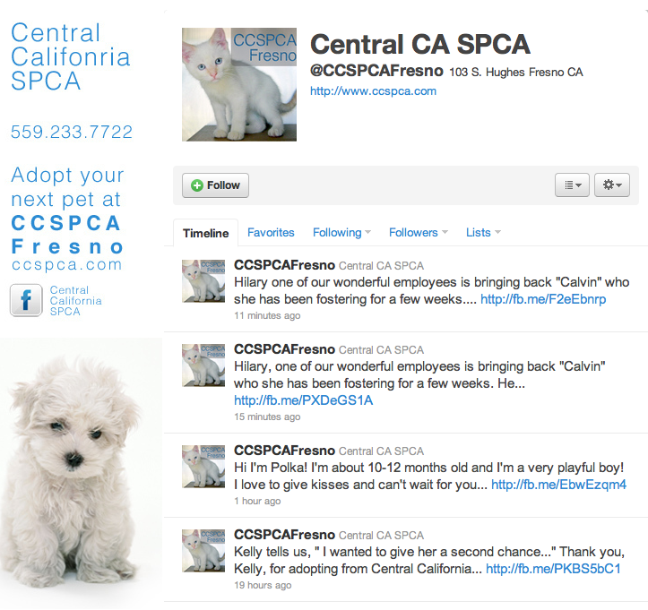 SPCA Fresno Twitter