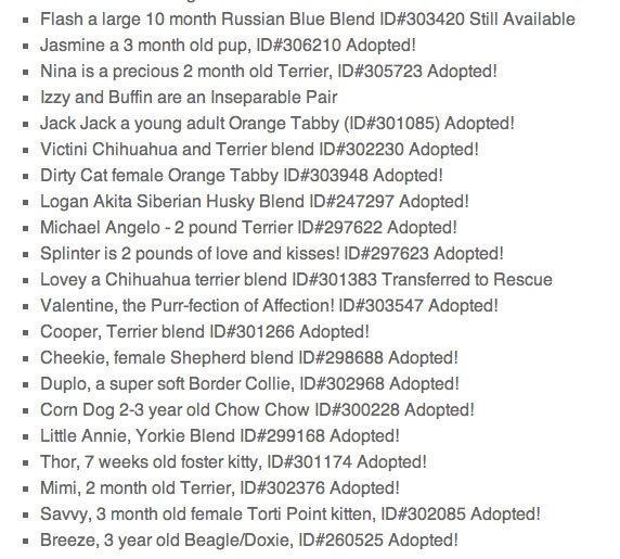 Animals list