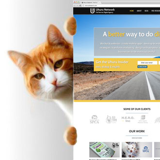 Who visits your site