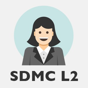 senior digital marketing consultant level 2