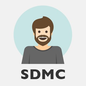 senior digital marketing consultant