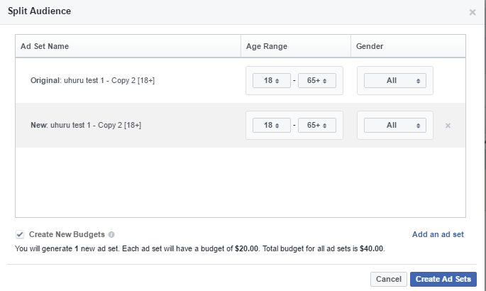 Split and duplicate audiences facebook power editor