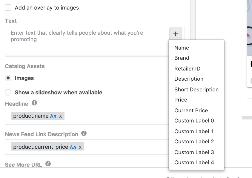 Dropdown Menu When Creating Dynamic Ad